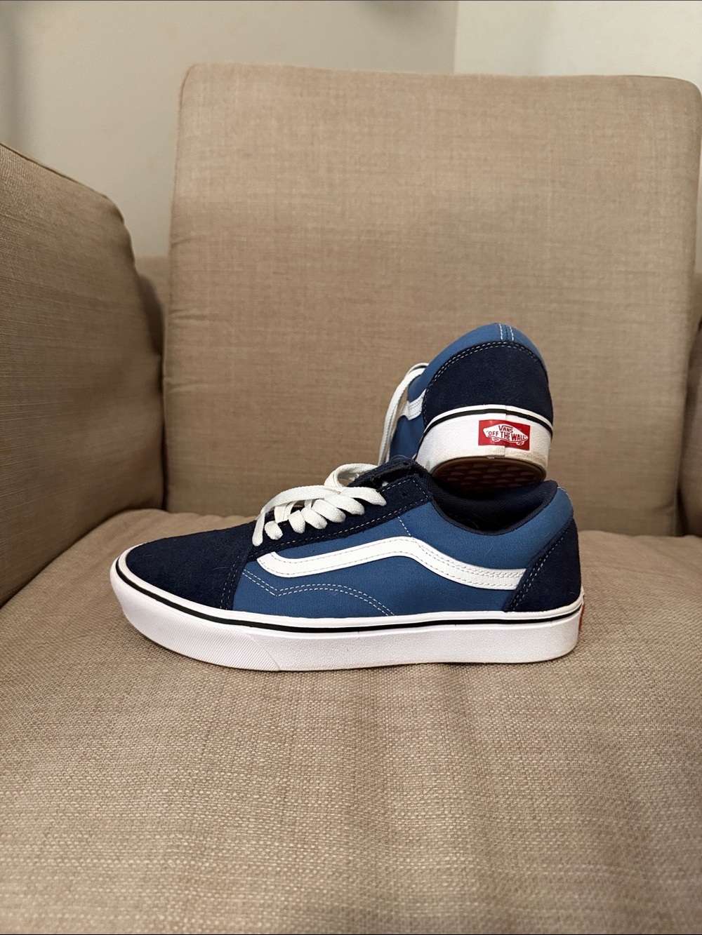 Vans Old Skool Navy and Blue Low Top Sneakers